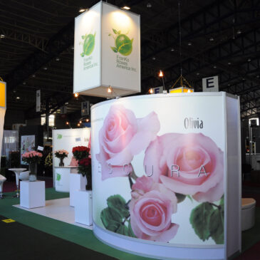 stand franko roses america inc